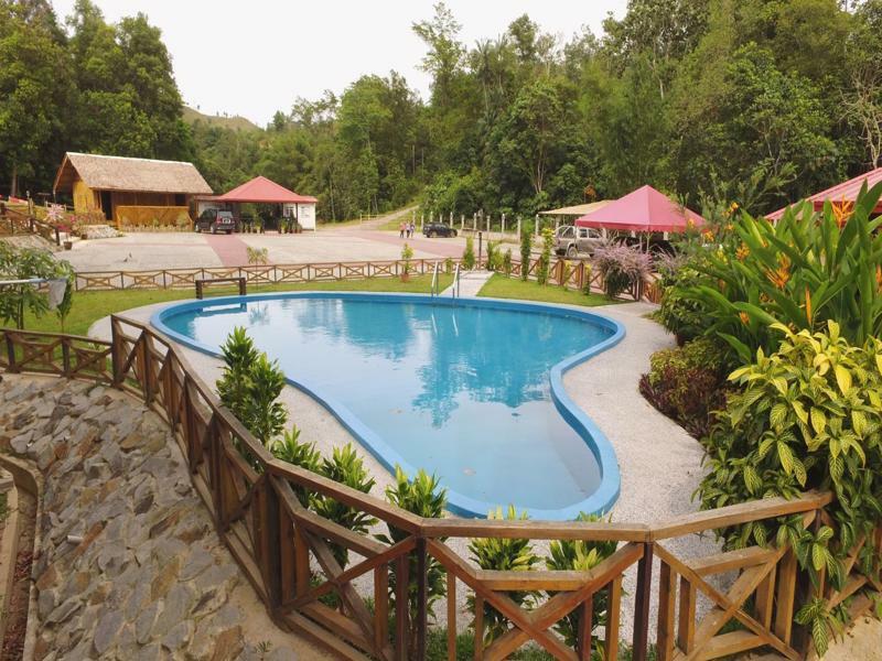 Borneo Tree House 2*